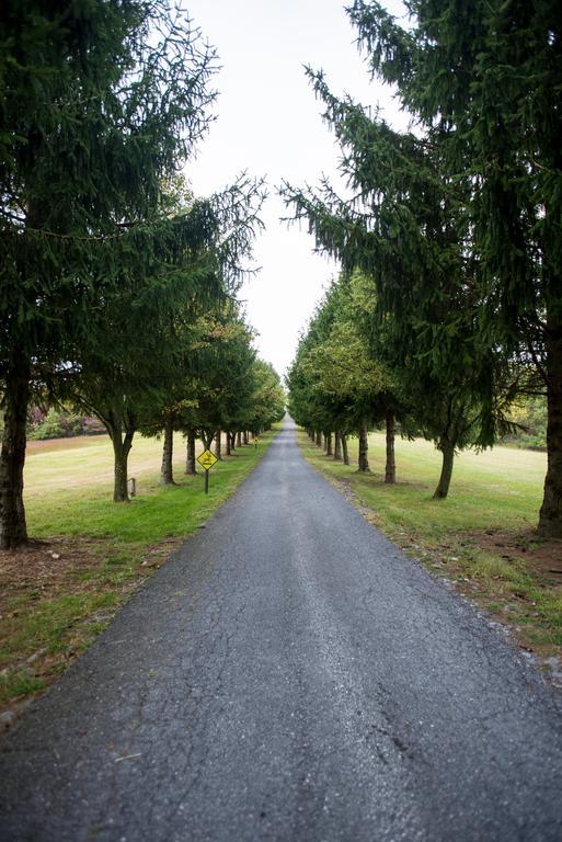 Antietam Overlook Farm Rohrersville ภายนอก รูปภาพ