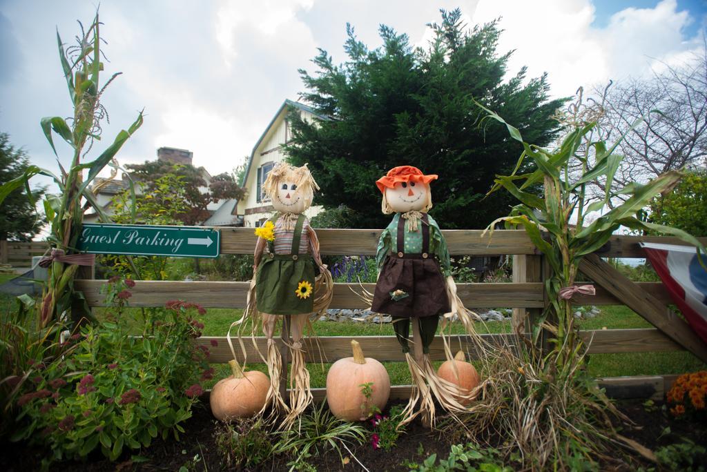 Antietam Overlook Farm Rohrersville ภายนอก รูปภาพ